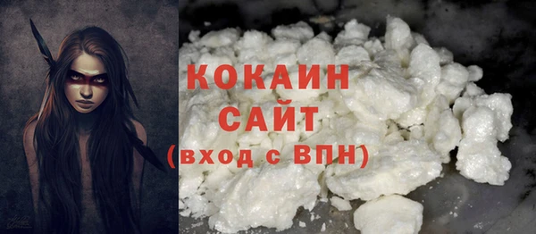 дмт Богородск