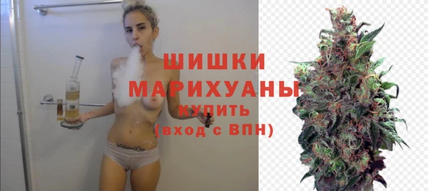 дмт Богородск