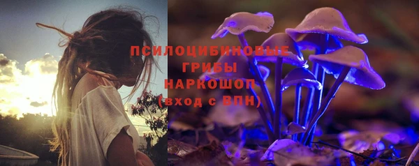 ешки Богданович