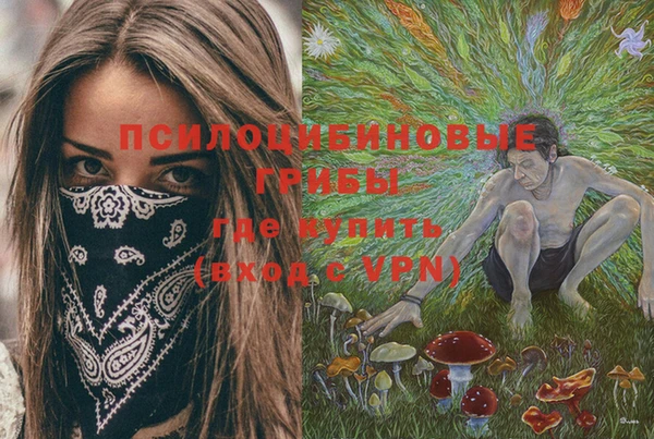ешки Богданович