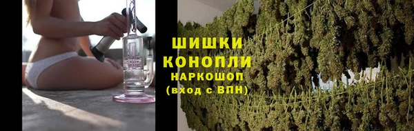 ешки Богданович