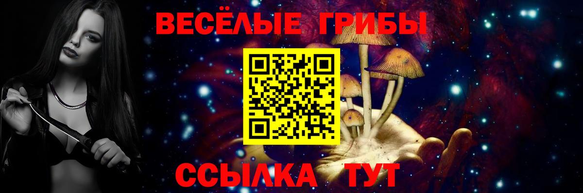 Галлюциногенные грибы Psilocybe  Вход с VPN  Галлюциногенные грибы Magic Shrooms  Саяногорск 
