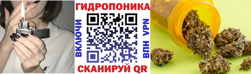 Канабис план  где можно купить наркотик  Саяногорск 